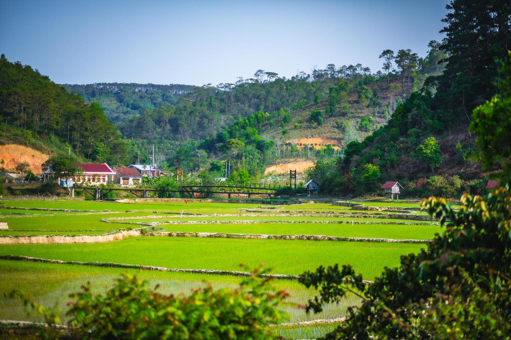 Nha Trong Ban - Homestay Mang Den Kon Von Kla Buitenkant foto